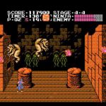 Ninja Gaiden 003