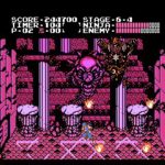 Ninja Gaiden 004