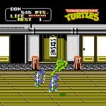 Teenage Mutant Ninja Turtles II 100