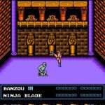 Double Dragon III 076