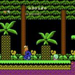 Adventure Island II 020