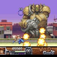 Wild Guns