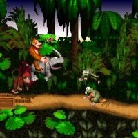 Donkey Kong Country