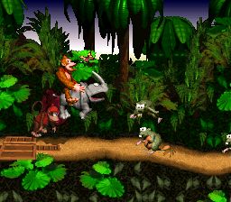 Donkey Kong Country