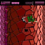 Battletoads 001