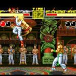 Fatal Fury 003