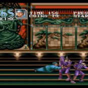 Double Dragon 3: the Arcade Game