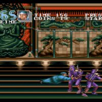 Double Dragon 3: the Arcade Game