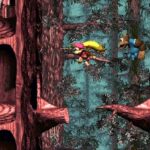 Donkey Kong Country 3 002