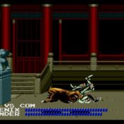 Fighting Masters