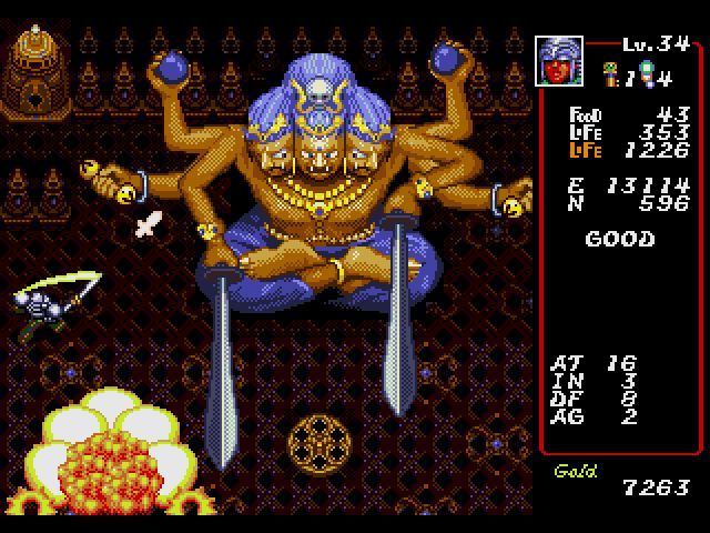 Dungeon Explorer Sega CD