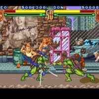 Teenage Mutant Ninja Turtles: Tournament Fighters