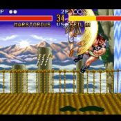 Fighter’s History