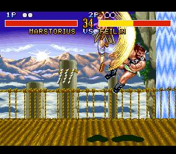 Fighter’s History