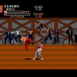 Pit Fighter 003