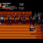 Pit Fighter 002