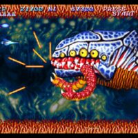 Salamander Deluxe Pack Plus