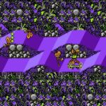 Thrilla&rsquo;s Surfari 003