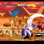 World Heroes Perfect 003